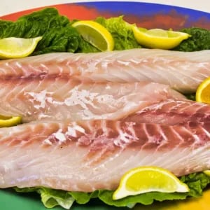 Fresh Grouper by the Pound