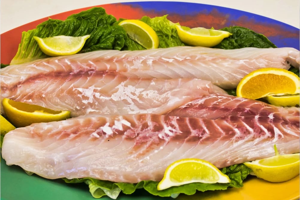 Fresh Grouper Fillet – Sold by the Pound
