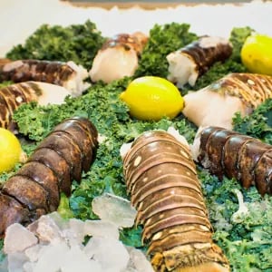 8oz Florida Lobster Tail