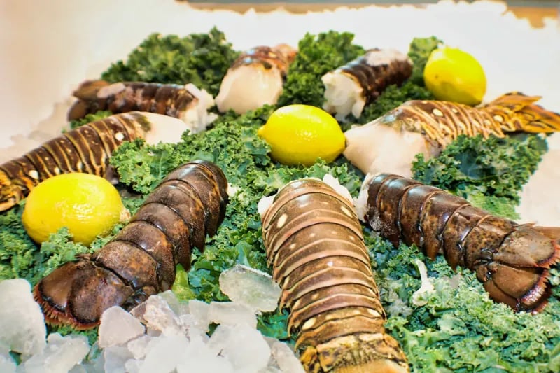 8oz Florida Lobster Tail
