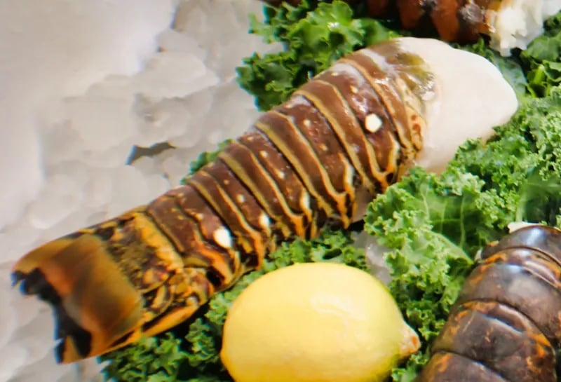 8oz Florida Lobster Tail