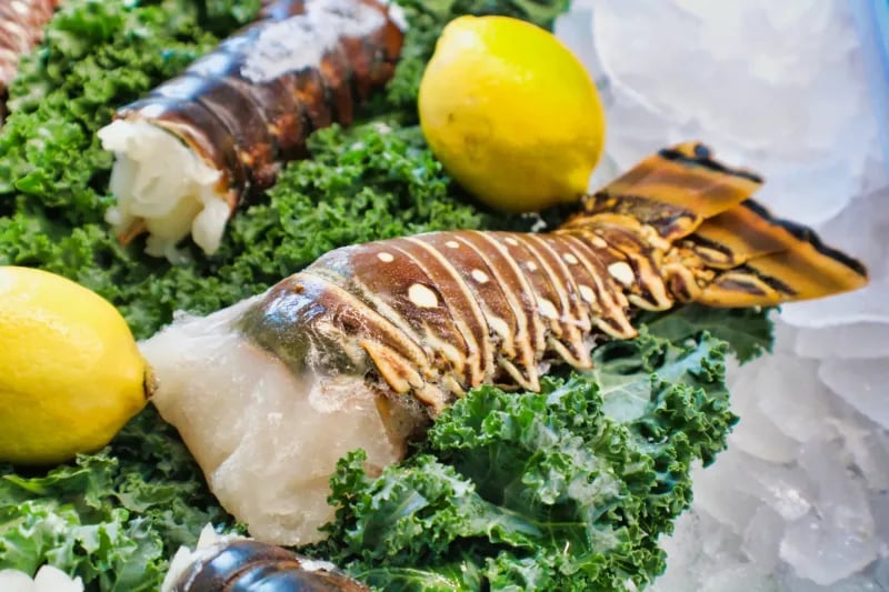 8oz Florida Lobster Tail