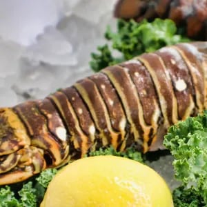 8oz Florida Lobster Tail