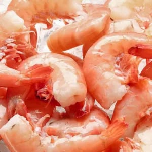 Key West Pink Shrimp