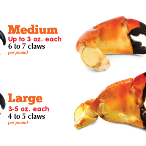 Stone Crab Claws Sizing Chart