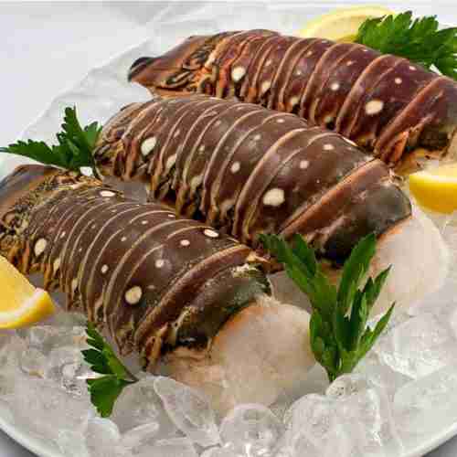 lobster tails
