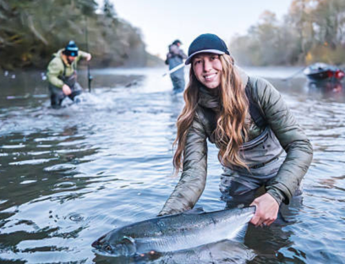 Taste the Difference: A Guide to Premium Scottish Salmon