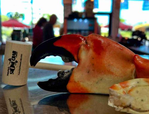 Stone Crab Diet: Benefits of the Florida Crab