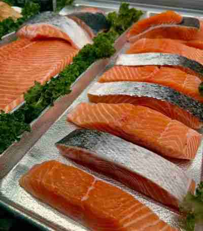 salmon filet