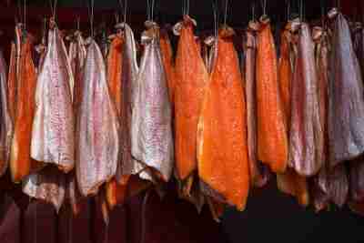 Salmon hanging in an ordered pattern for smoking