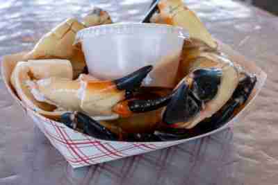 stone crab