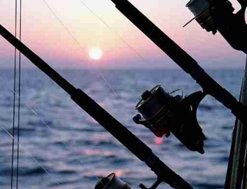 6 Essential Grouper Fishing Tips and Tricks for Beginners