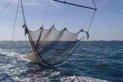 straightened trawler net is going down to sea bottom