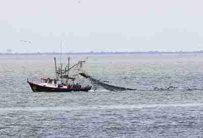 a shrimp boat dragging their nets behind with sea birds following