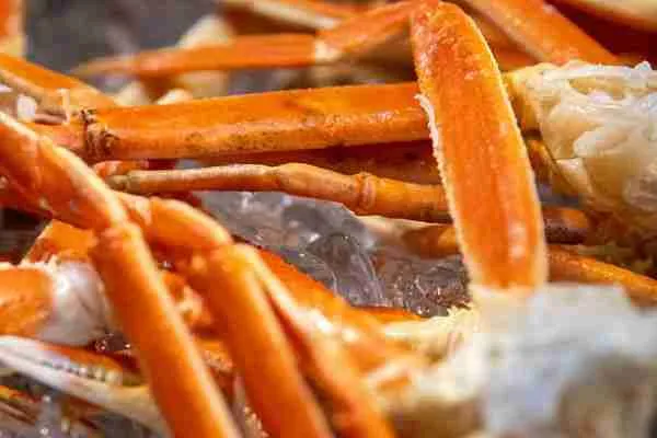 Snow crab legs being chilled on ice