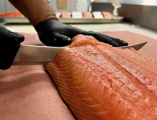 Atlantic Salmon vs Pacific Salmon: Florida Chef-Approved Guide