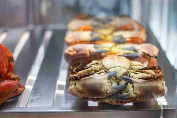  crab fridge