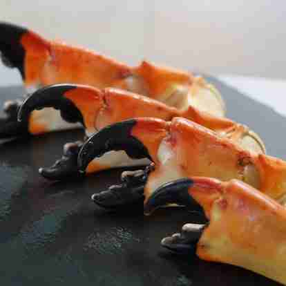 stone crabs